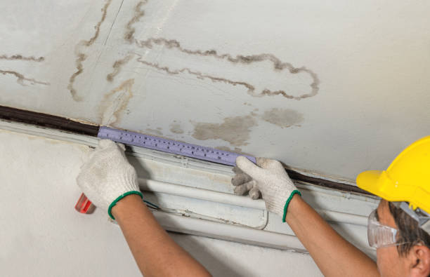 Reliable Water Damage contractor in Yale, MI by Water Damage Irwin